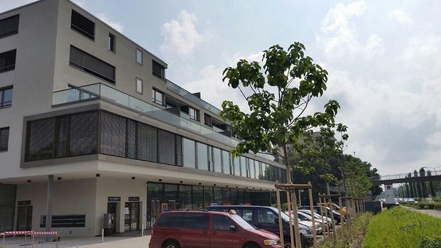 2.5 Zimmerwohnung in Zürich - Foto 1