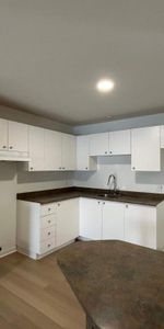 1 CH - 1 SDB - Saint-Charles-Borromée - $1,199 /mo - Photo 3