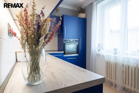 Pronájem bytu 2+1 v osobním vlastnictví 53 m², Praha 3 - Žižkov - Fotografie 4