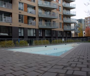 Rue Eleanor, H3C 0T5, Montréal - Photo 6