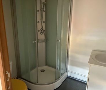 Location Appartement 1 pièce 21m² PONT DE VAUX 01190 - Photo 3