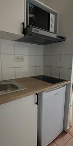 Location Appartement 1 pièce 17m² AVIGNON 84000 - Photo 3