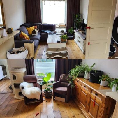 Chambre meublée dans maison partagé - Broekhovenseweg, Tilburg - Foto 1
