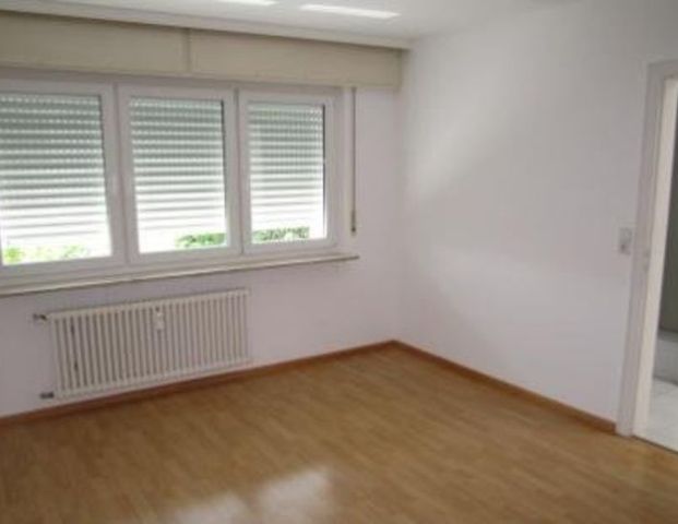 1-Zimmer-Appartement im Rodgebiet, Pforzheim - 2.OG Nr. 4 - ab sofort - Photo 1