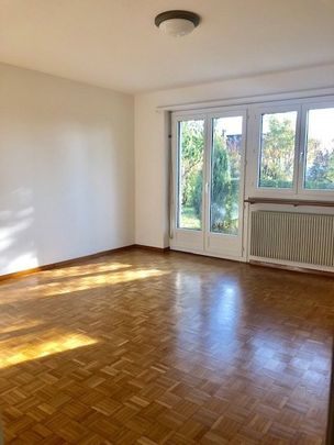 1 Zimmer, 42 m², EG - Foto 1