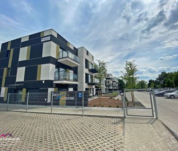 Grudziądz, Tarpno Mieszkanie na wynajem - Zdjęcie 6