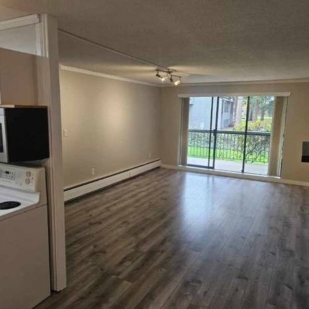 Newly Renovated 1-Bedroom Apartment Centrally Located in Abbotsford - Photo 3