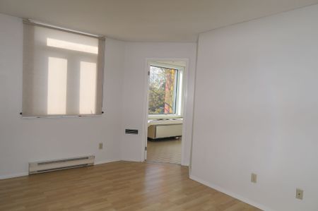 For Lease - 1025 Grenon Avenue Unit# 319, Britannia Heights - Queensway Terrace N and Area, Ontario - Photo 5