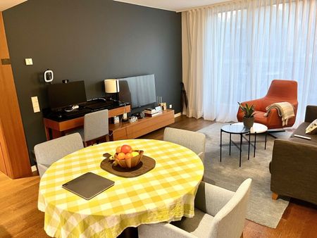 4-ROOM APARTMENT IN GENEVA - CENTER, FURNISHED, TERM LIMITED - Foto 5