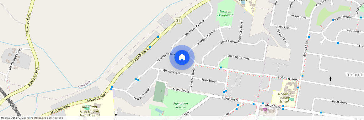 55 Thompson Street, NSW 2323, East Maitland