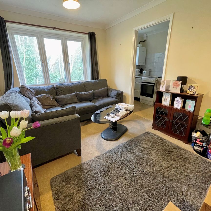 1 bedroom apartment to rent Junction Close, Burgess Hill, West Sussex, RH15 - Photo 1