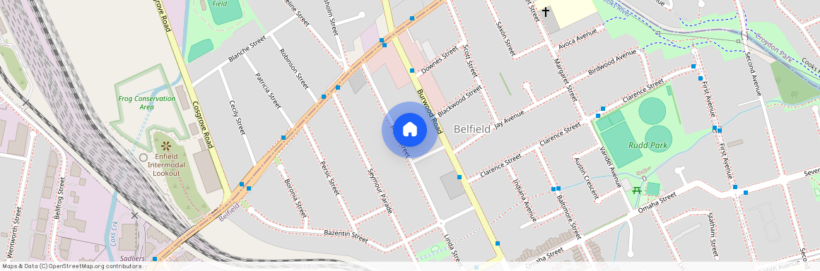 57 Linda Street, NSW 2191, Belfield