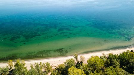 For Lease - 41 Steamboat Way, Whitby, Ontario - Photo 4