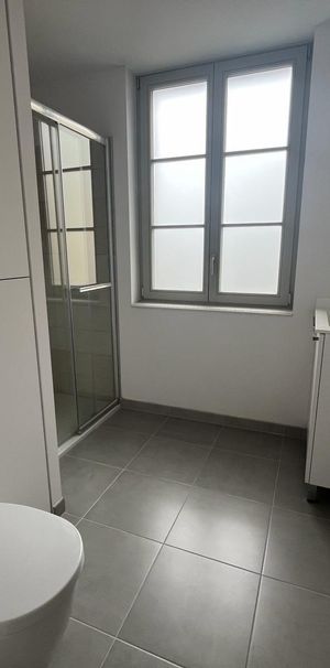 Location Appartement 1 pièce 20m² MULHOUSE 68200 - Photo 1