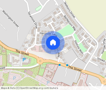 Friesian Close, Beck Row, Bury St. Edmunds, Suffolk, IP28 - Photo 1