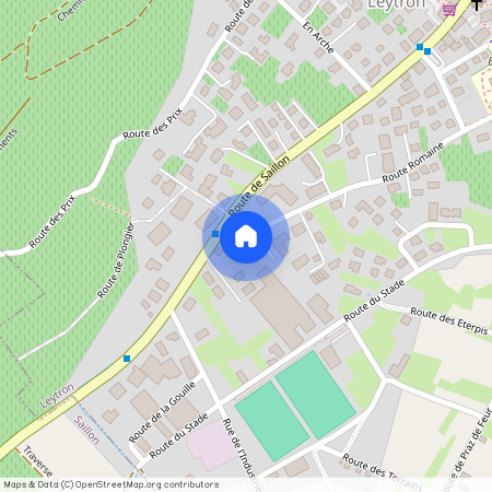 Route Romaine 133, 1912 Leytron