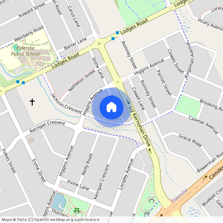 3 Lyons Street, NSW 2570, Elderslie