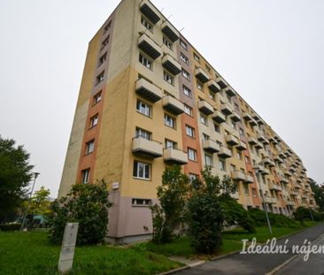 Pronájem bytuRenting an apartment 3+1, 55 m2 - Photo 3
