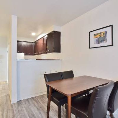 Pet Allowed Furnished Studio on 1540 Haro - Available March 1st - Photo 4