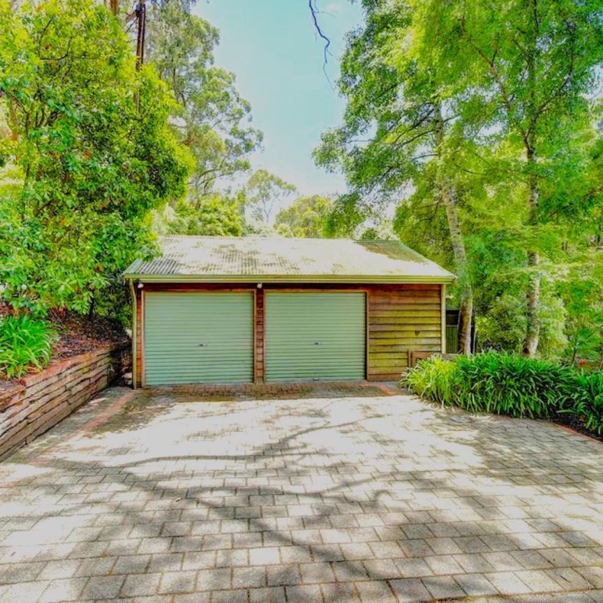 Tranquil Hills Living Surrounded by Nature - Photo 1