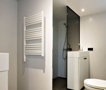 Te huur: Appartement Professor Pieter Willemsstraat in Maastricht - Photo 6