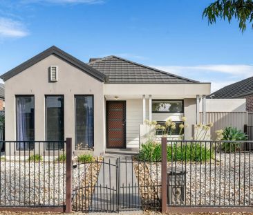 Everything at Your Doorstep - Photo 3