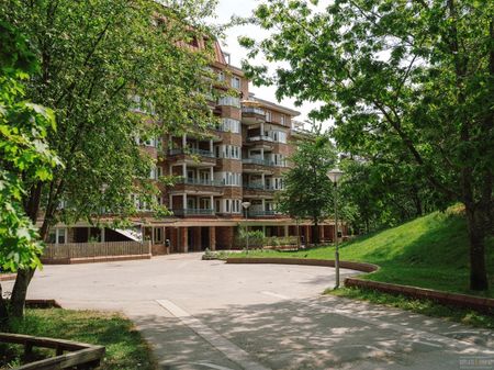 Myntstigen 17 - Photo 4