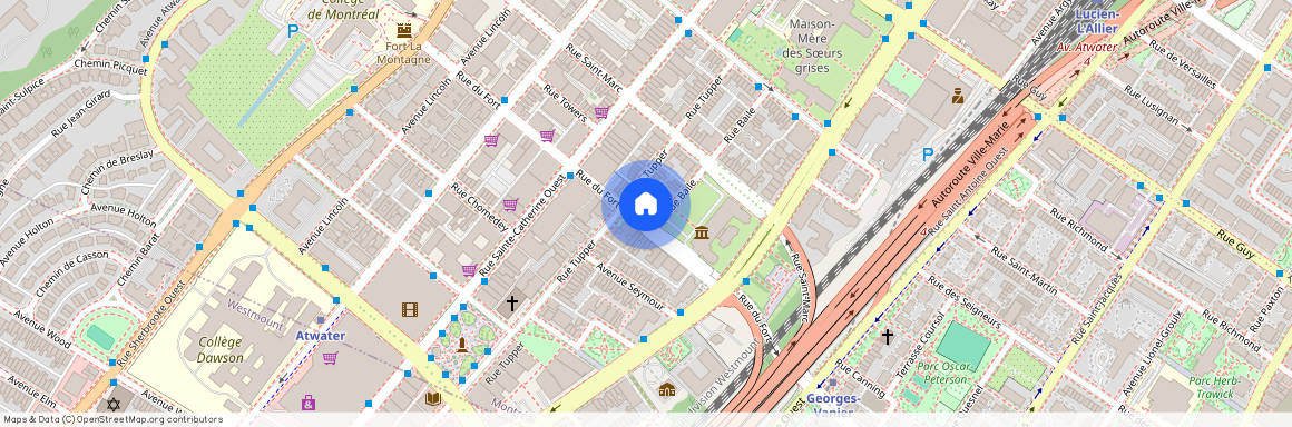 1241 rue du fort, Ville-Marie, Ville-Marie, Ile de Montréal, H3H 2B8