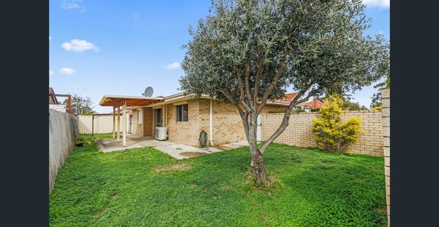 GREAT 3x1 UNIT IN PALMYRA! - Photo 1