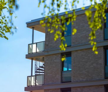 Sie suchen ein modernes Zuhause? Sichern Sie sich diese Traumwohnun... - Photo 5