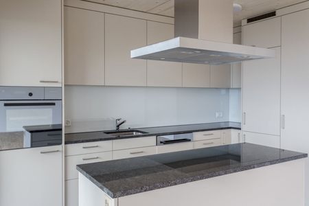 4.5 Zimmer, 124 m², 1. Stock - Photo 4