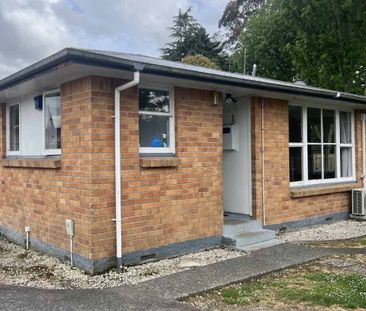 Freshly Renovated in Chartwell - Photo 2