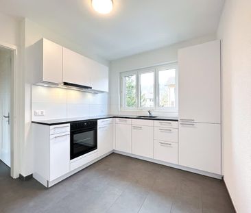 2 Zimmer, 49 m², 1. Stock - Foto 1
