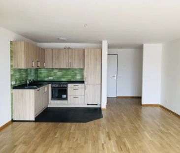 Seniorengerechtes wohnen im Zentrum von Werne - Photo 6