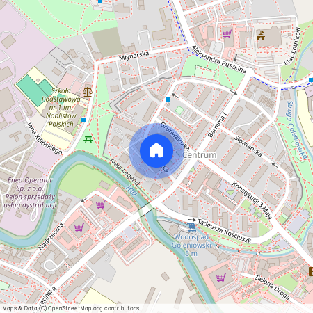 Grunwaldzka, GOLENIÓW, ZACHODNIOPOMORSKIE, Goleniowski