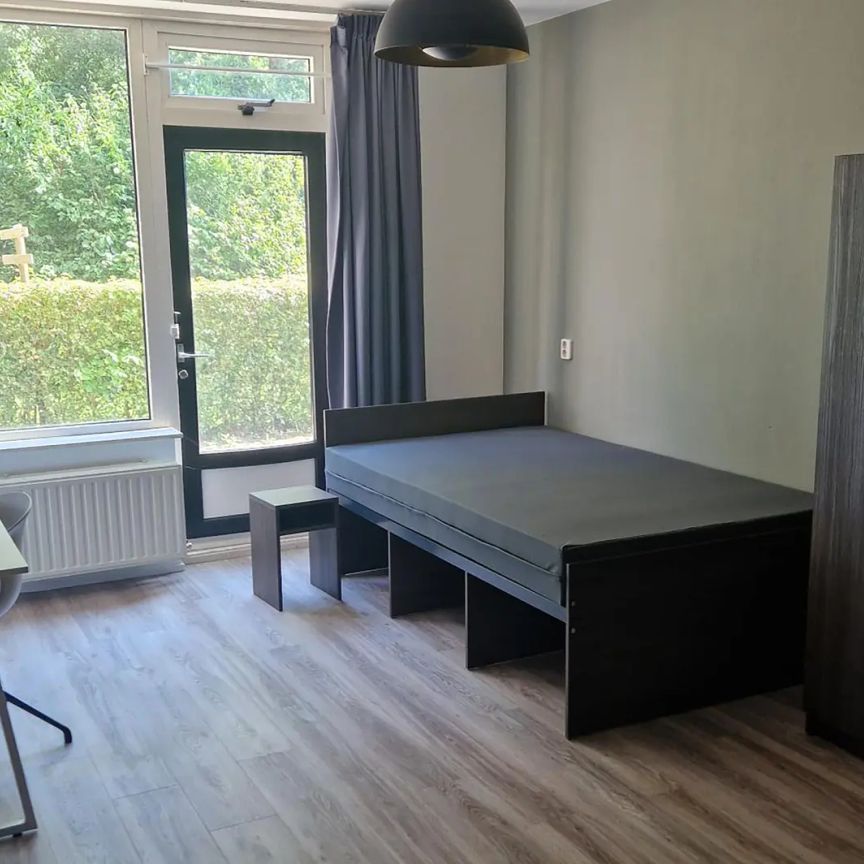 Chambre étudiante partagée au Haarweg 111, Wageningen - À louer - Foto 1