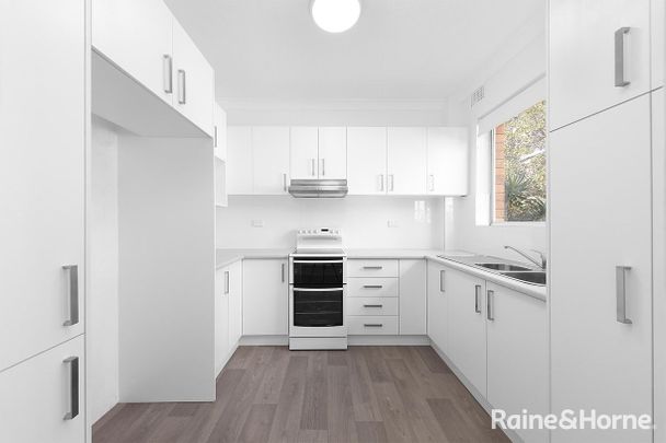 3/3 Albert Street, Randwick, NSW 2031 - Photo 1