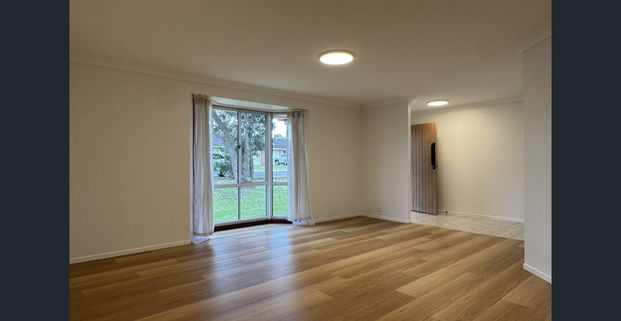 Beautifully updated home in a quiet location! - Photo 1