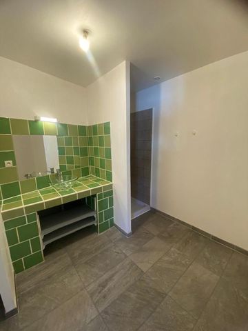Location Appartement 3 pièces 93m² BESSEGES 30160 - Photo 4