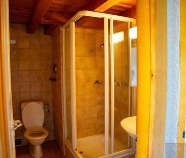 2 rooms in the heart of Gryon - Photo 6