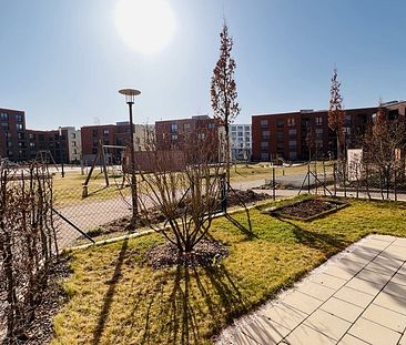 3-Zimmer-Wohnung mit Einbauküche und Terrasse mit Gartenanteil 15.02 - Photo 4