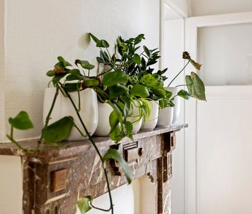 Lauwestraat 135 , 8560 Wevelgem - Photo 1