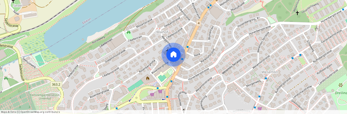 Weggismattstr, 6, 6004 Luzern