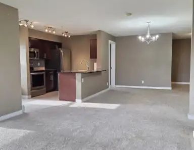 Large Spacious Apartment! 5 minutes from Superstore! Near School, Shopping ... | 302 - 3211 James Mowatt Trail SW, Edmonton - Photo 1