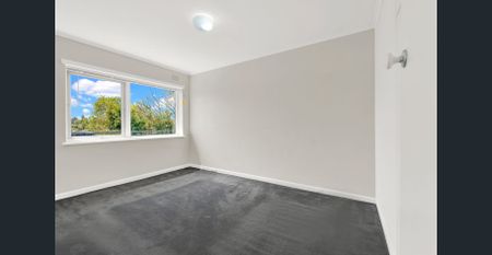 Right in the thick of the action - Photo 5