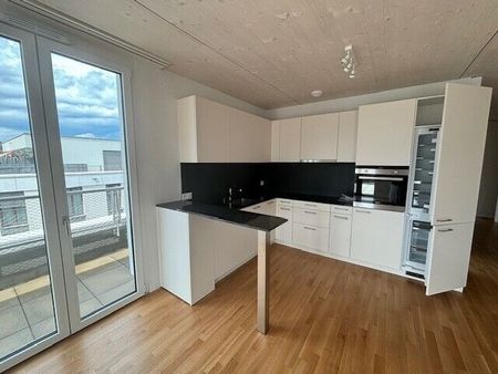 LE TICLE : Appartements neufs à louer - Photo 4