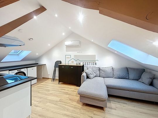 Location Appartement 1 pièce 20m² - Photo 1