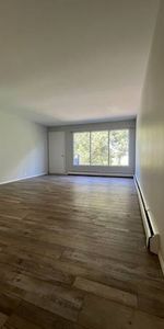 Spacious Newly Renovated 2 Bedroom Near Downtown - Photo 4