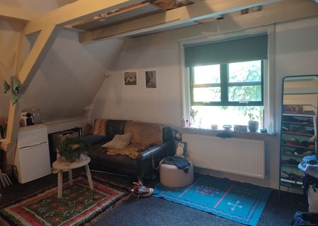 Te huur: Studentenkamer nabij het centrum van Zeist - Foto 5