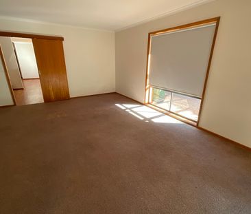 11 Plantation Street, Mildura VIC 3500 - Photo 3